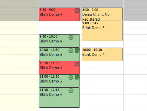 Blink Session Color Coded Schedule